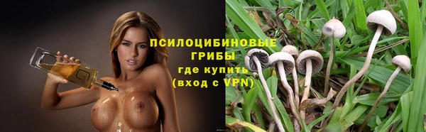2c-b Ладушкин