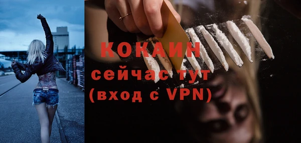 твердый Кинешма