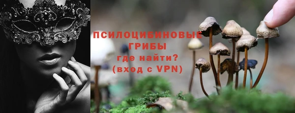 ГАЛЛЮЦИНОГЕННЫЕ ГРИБЫ Лагань