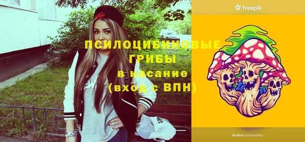 гашик Дедовск