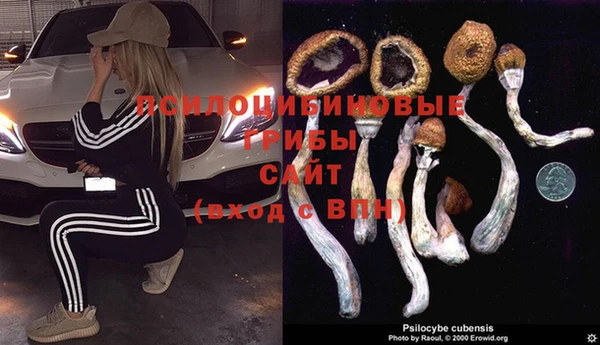 соль ск Лабытнанги