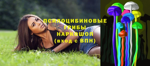 винт Куйбышев