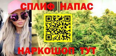 СК Балахна