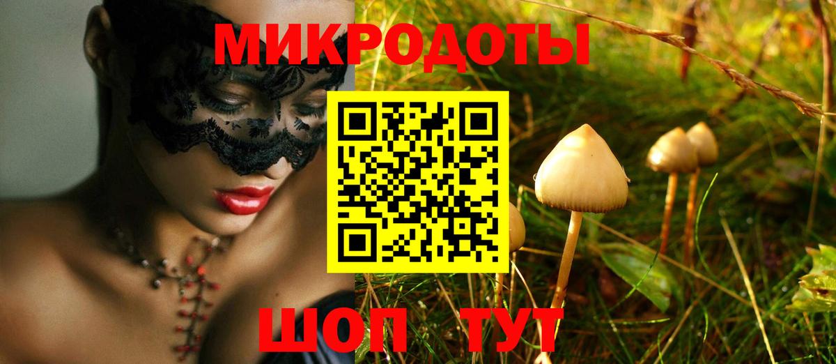Галлюциногенные грибы ЛСД  Галлюциногенные грибы Psilocybe  даркнет сайт  Кстово  Вход с VPN 
