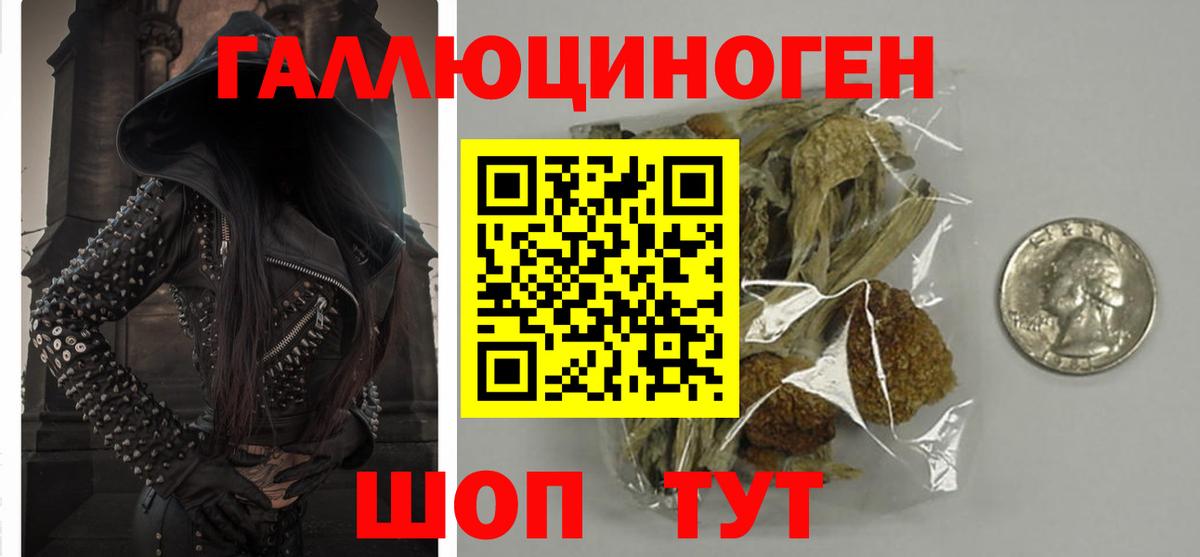Псилоцибиновые грибы прущие грибы Кстово